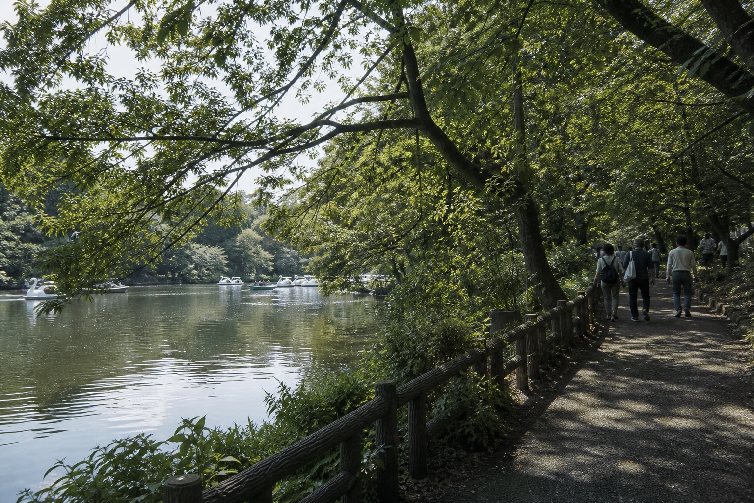 Inokashira Park pond-side path in Kichijoji