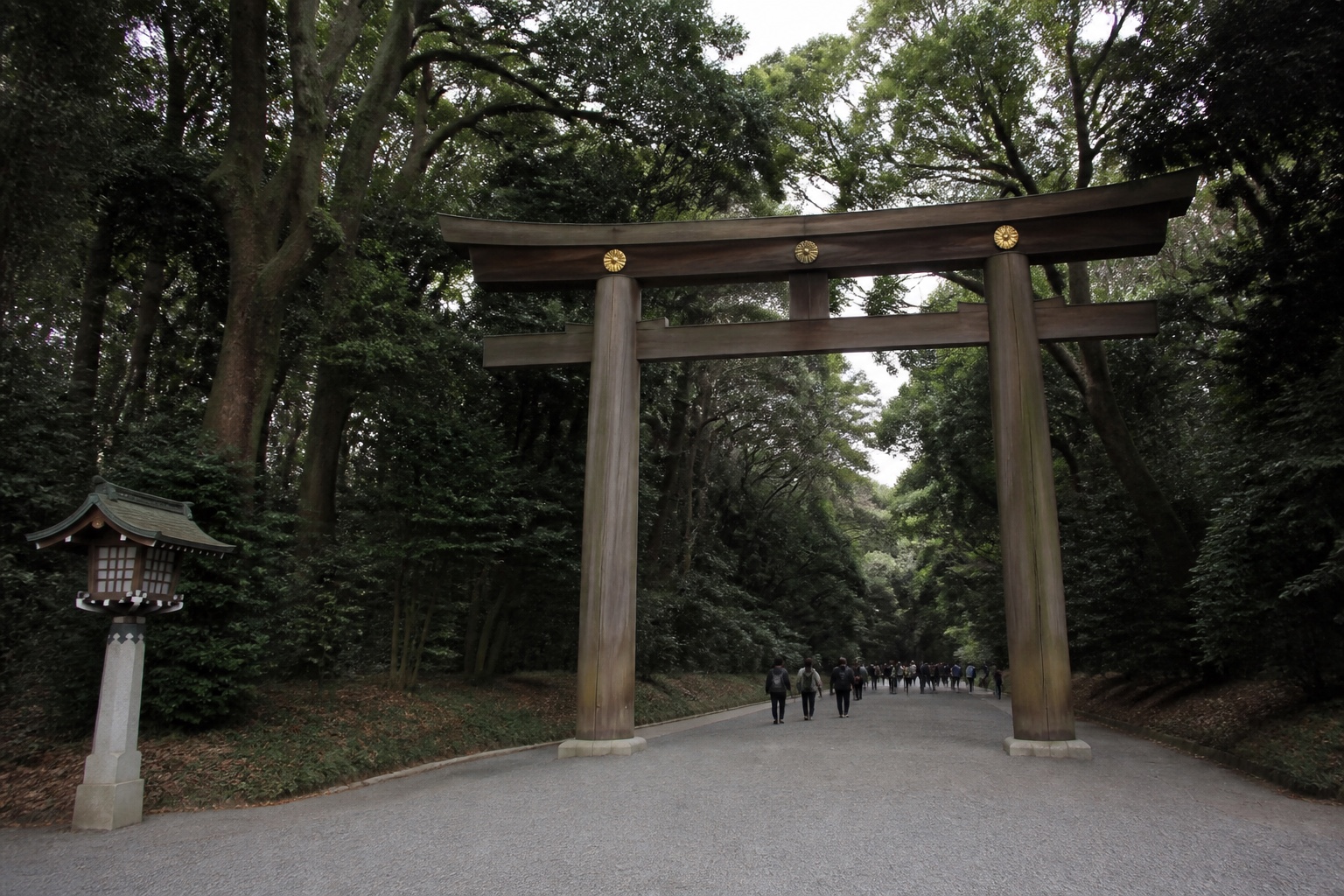 Meiji Jingu forest approach near Harajuku