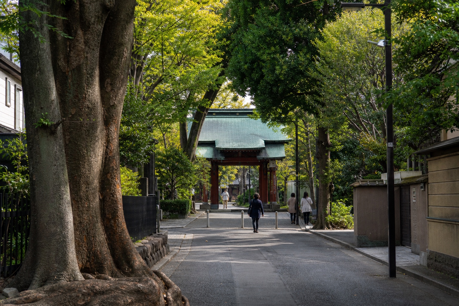 Nezu Shrine wooded gate and grounds