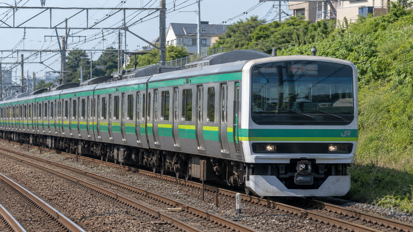 緑と黄緑帯の常磐線快速E231系を、緑の築堤沿いで描いた写真風画像。