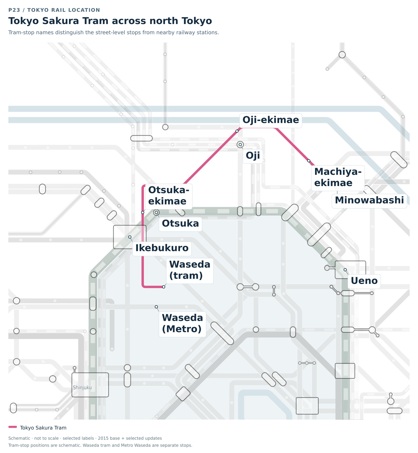 North Tokyo schematic highlighting the Tokyo Sakura Tram between Waseda and Minowabashi, with selected stops at Otsuka-ekimae, Oji-ekimae and Machiya-ekimae. Nearby JR stations are separately labeled. Tram-stop positions are schematic.